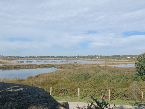 Vue des Marais de Müllembourg